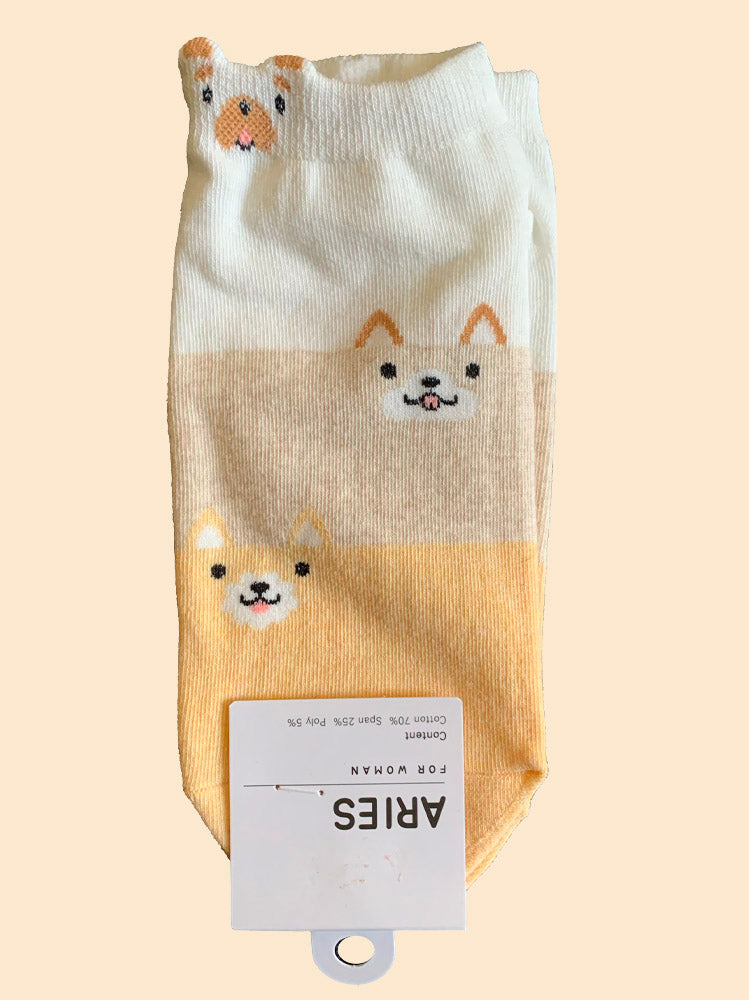 Chien