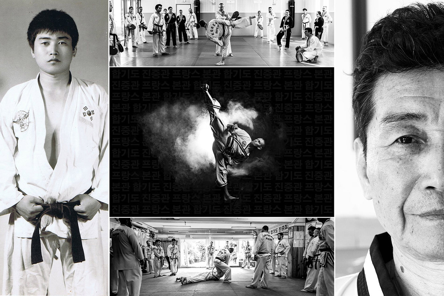 Jin Jung Kwan Masters