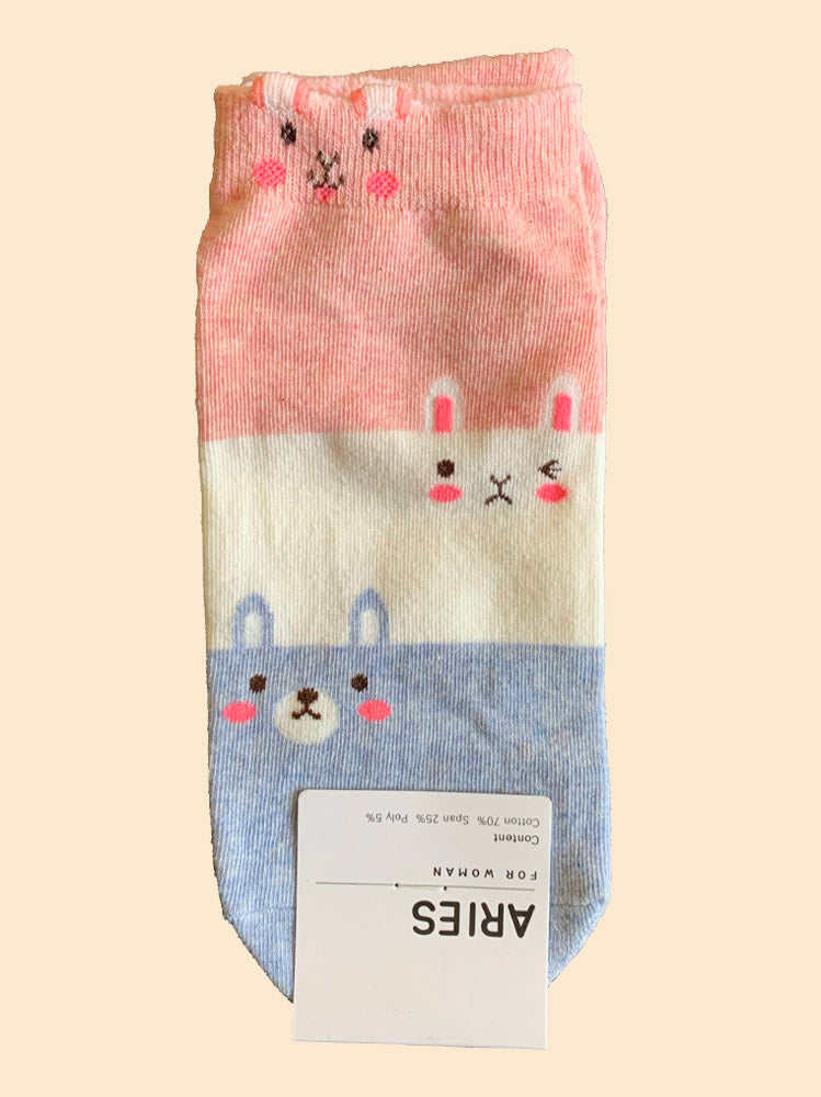 Lapin x3