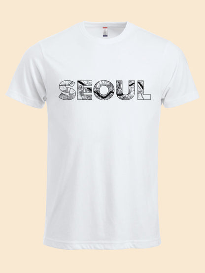 Seoul map 서울 지도