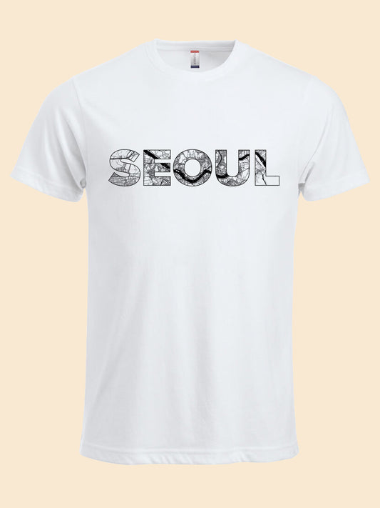 Seoul map 서울 지도